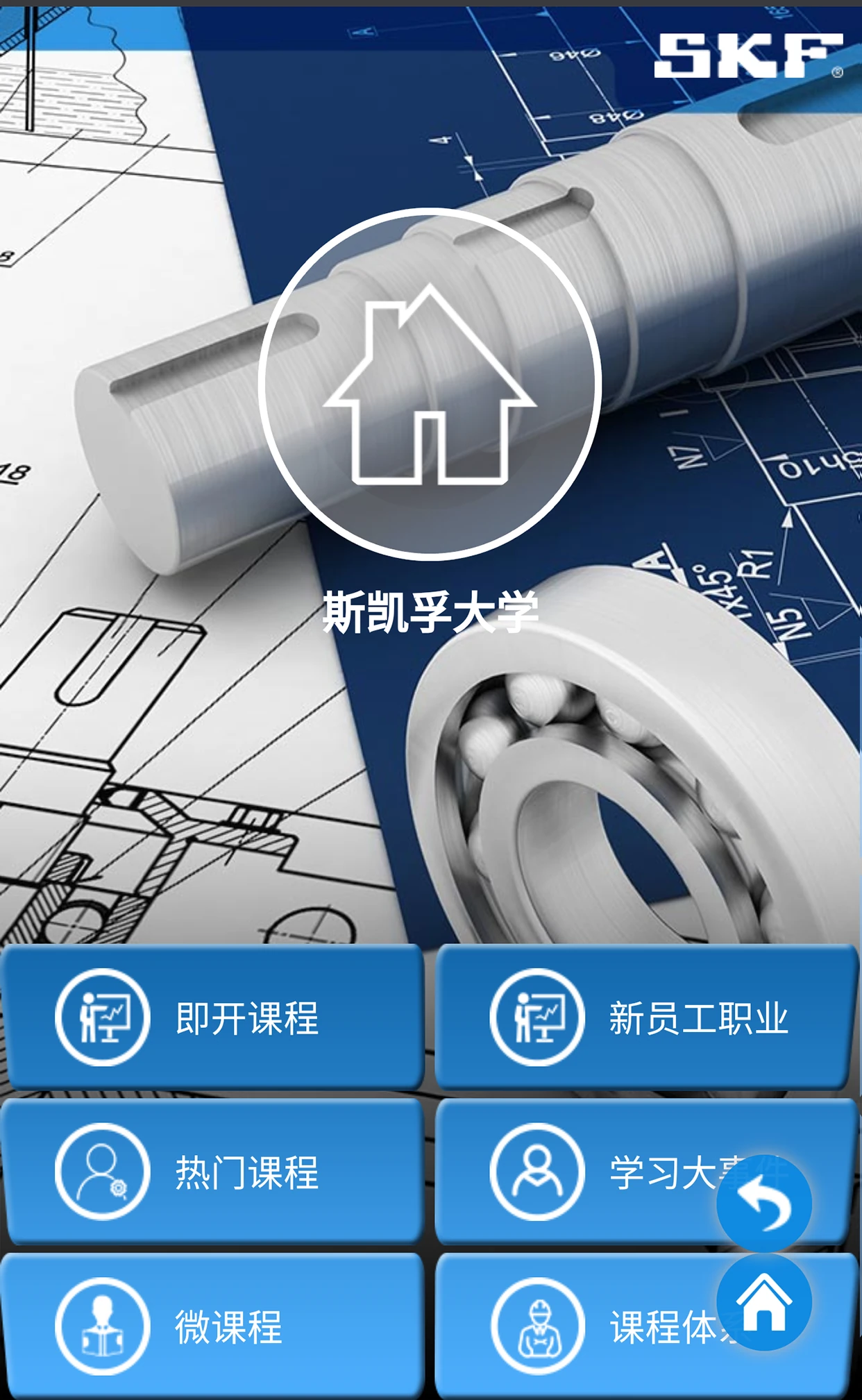 斯凯孚大学
